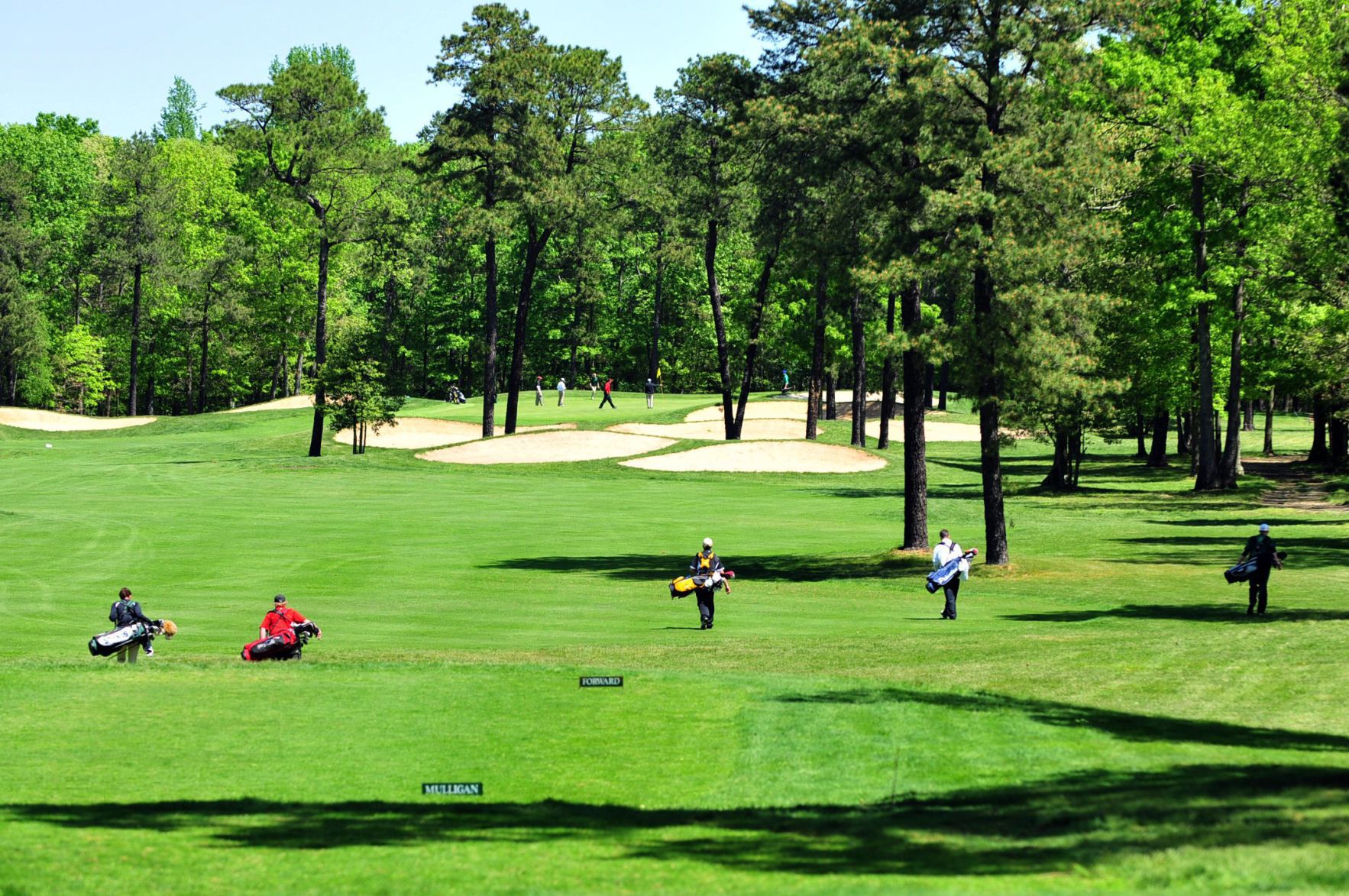 high school golf championships